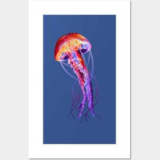 Jellyfish Posters and Art